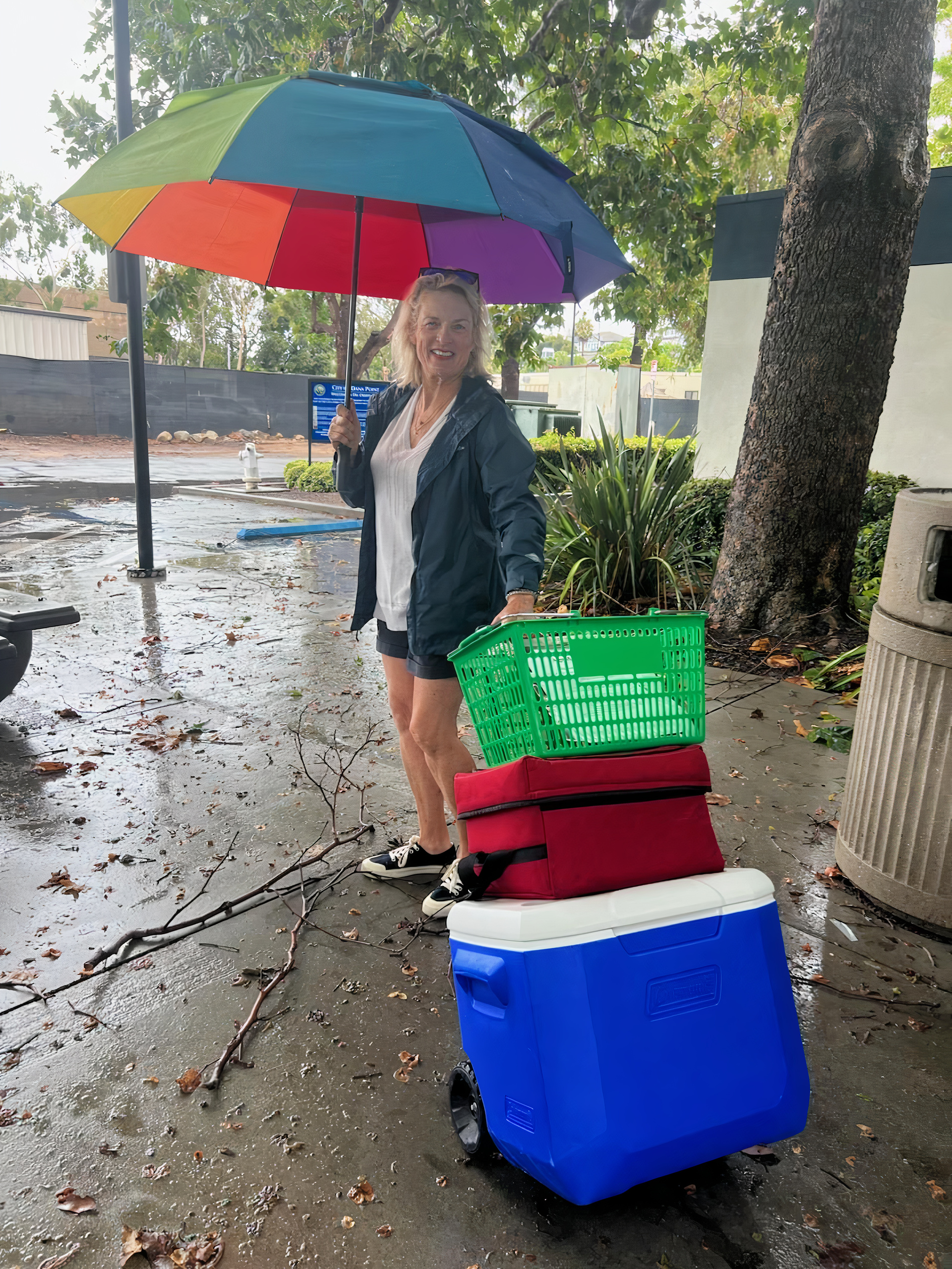 Volunteer Hilary 2