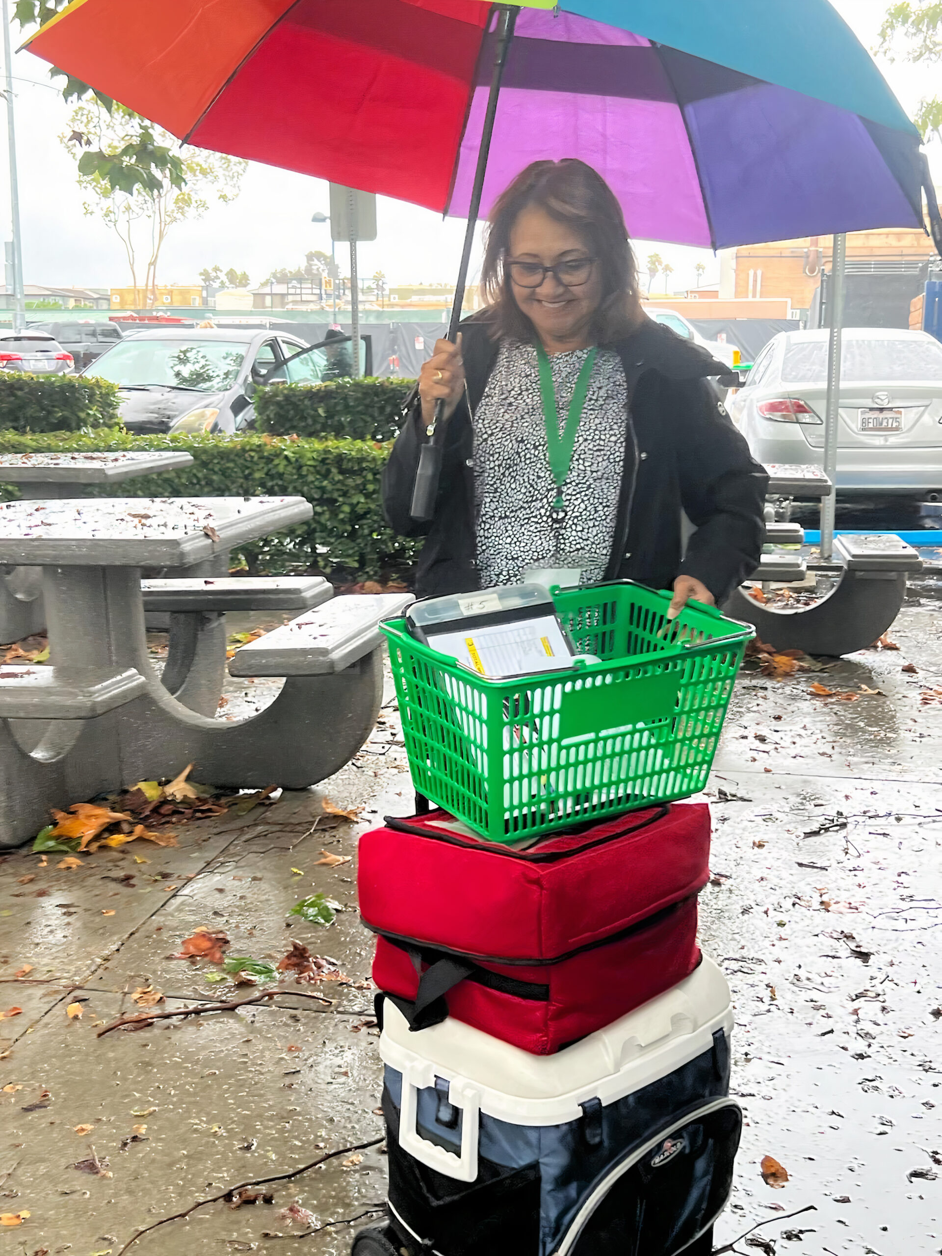 Volunteer Hilary3